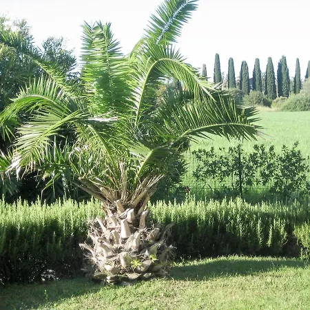 Appartamento Le Camelie 134s